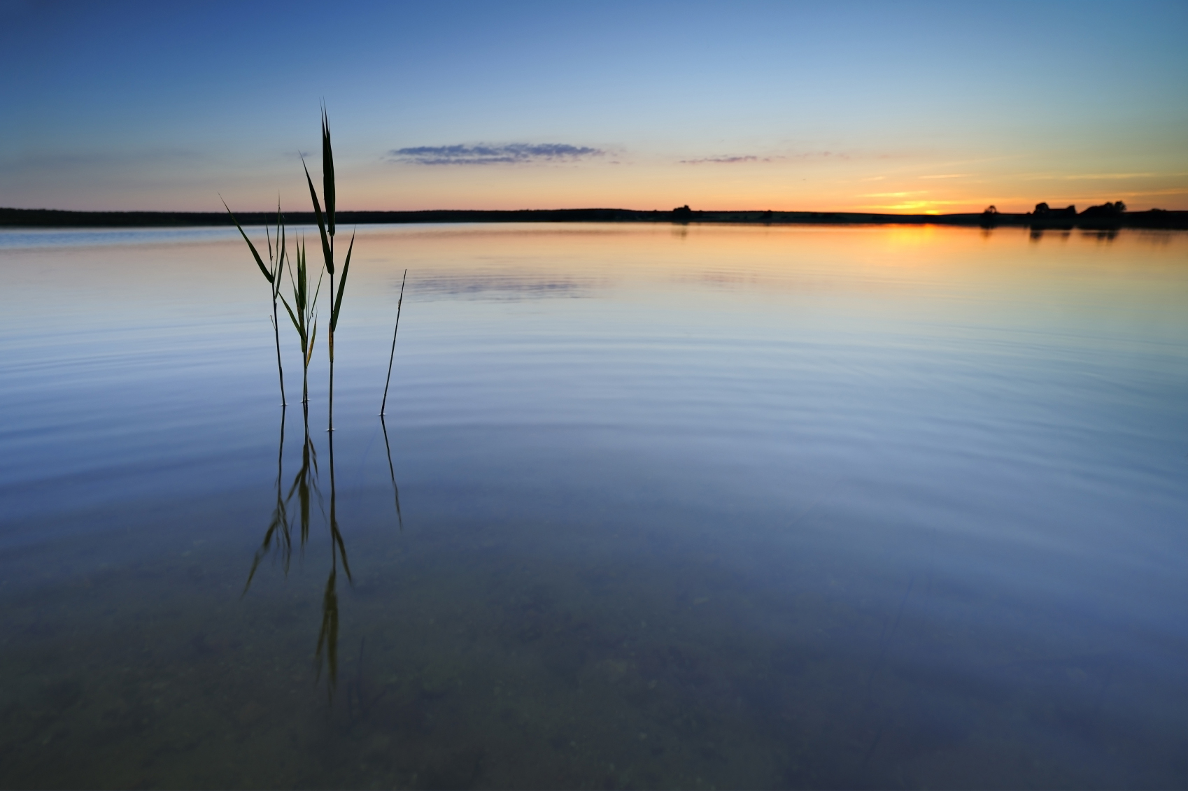 Dovid Lessin, Psychologist in Jerusalem, Israel